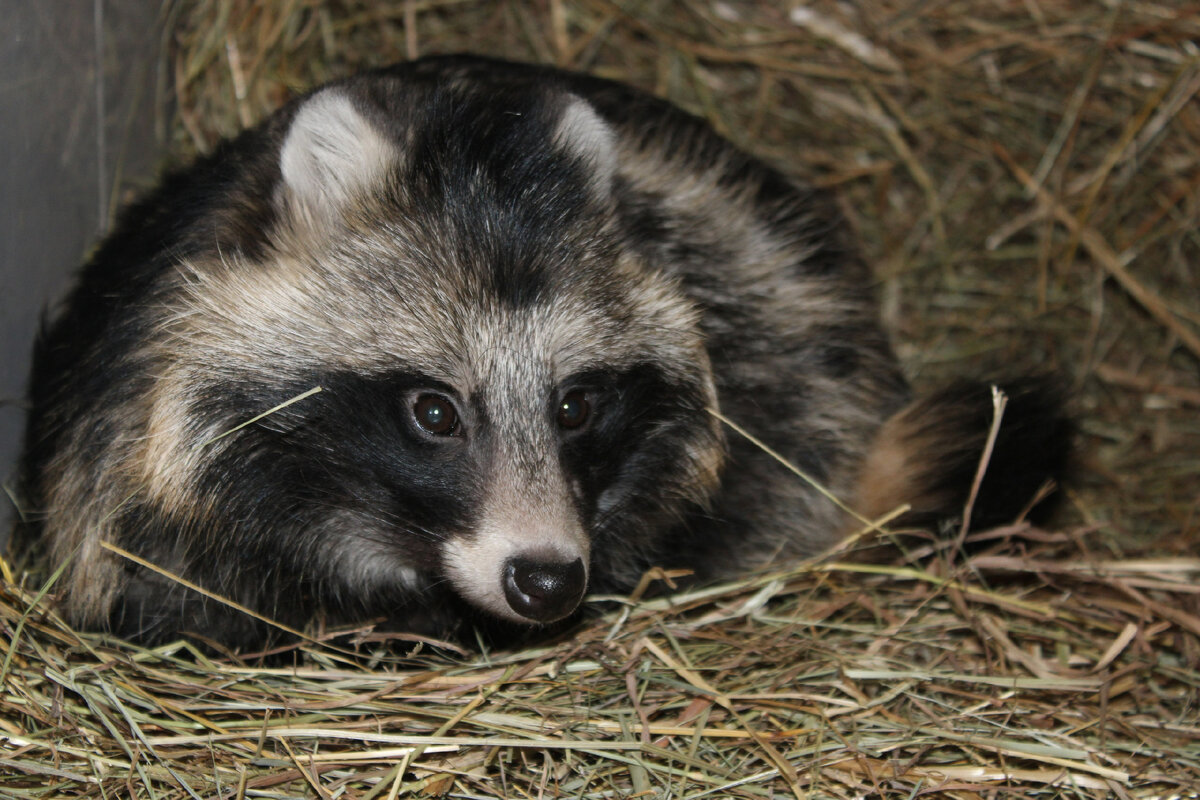 Фото: ГУФСИН России по Нижегородской области