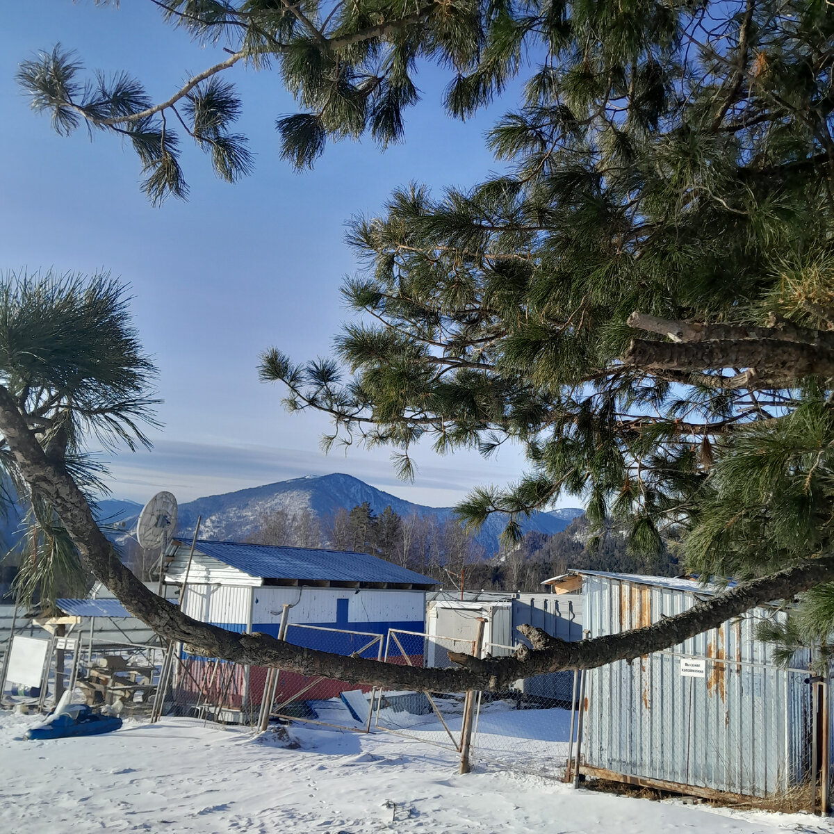 Ретранслятор горный алтай акташ. Горы алтая альпийские луга. Горный алтай в июле. Долина инегень горный алтай. Июль в горном алтае.