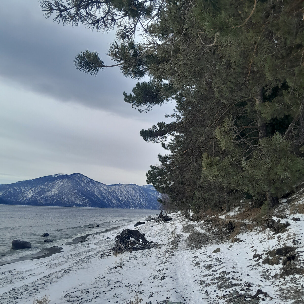Село каракол онгудайский район. Алтайская деревня горный алтай. Поселок карым горный алтай. Пейзаж села алтайского алтайского края-. Селение горное карца.