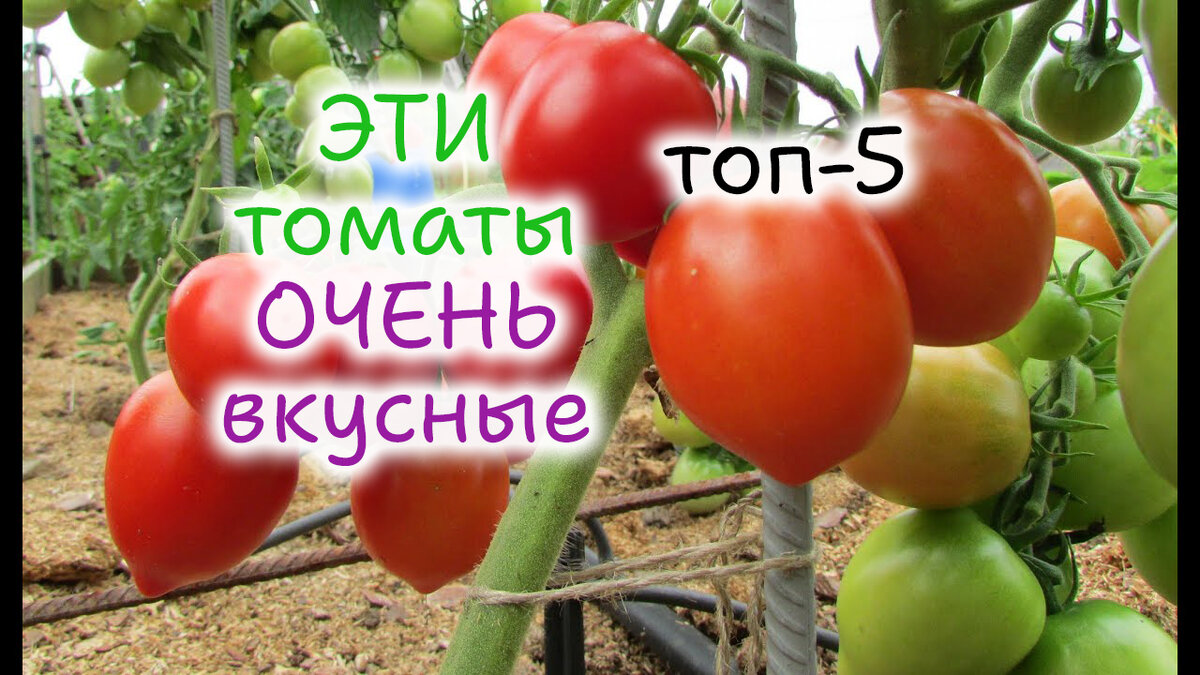 3 основных недостатка. Дефект интеллектуализация. Роль питания в профилактике кариеса. Плюсы и минусы цифровой экономики. Сильные и слабые стороны человека примеры.