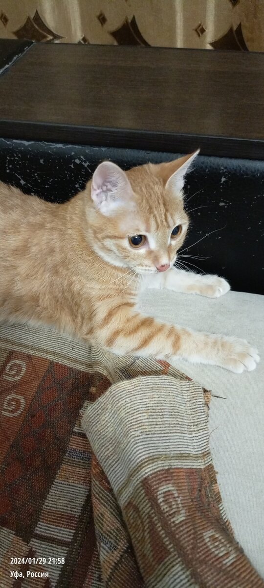 Ст 25. Статья 30 2 2 8. Коап российской федерации. Перечислите права пациента. Статья 30 2 2 8.