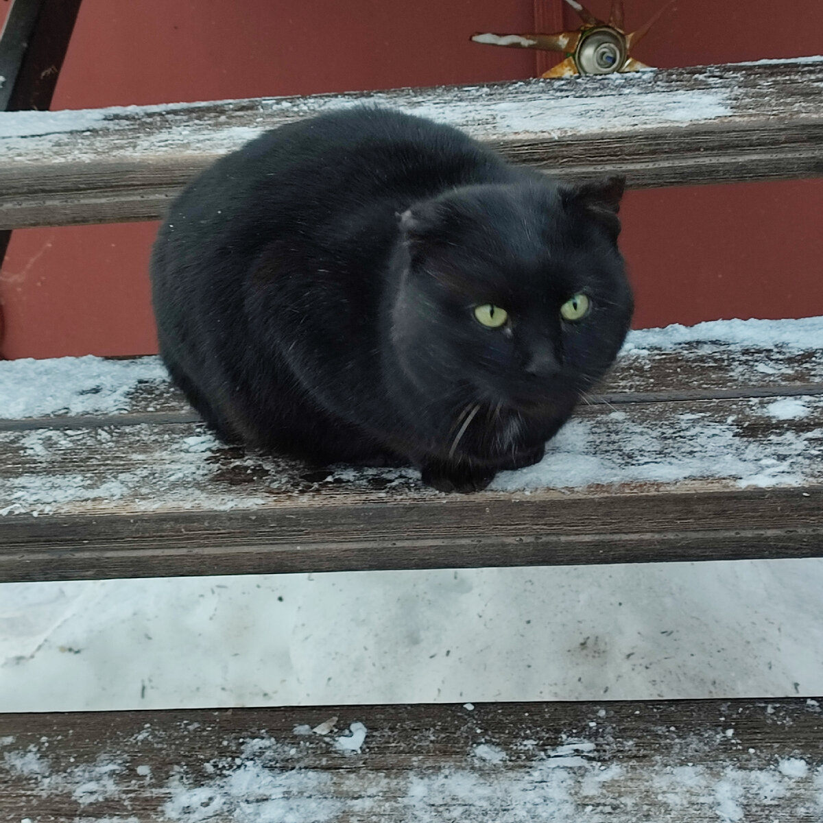 Слова песен. Ты пришел минус. Ноты с текстом. Круг приходите в мой дом слова. Текст песни.