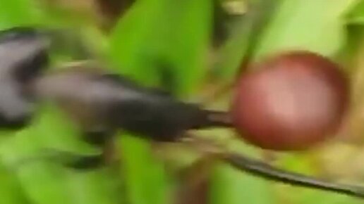 пробежка прикол. бег занятия на похудение. стихотворение о беге жизни. стих убежать от себя. убегает прикол.