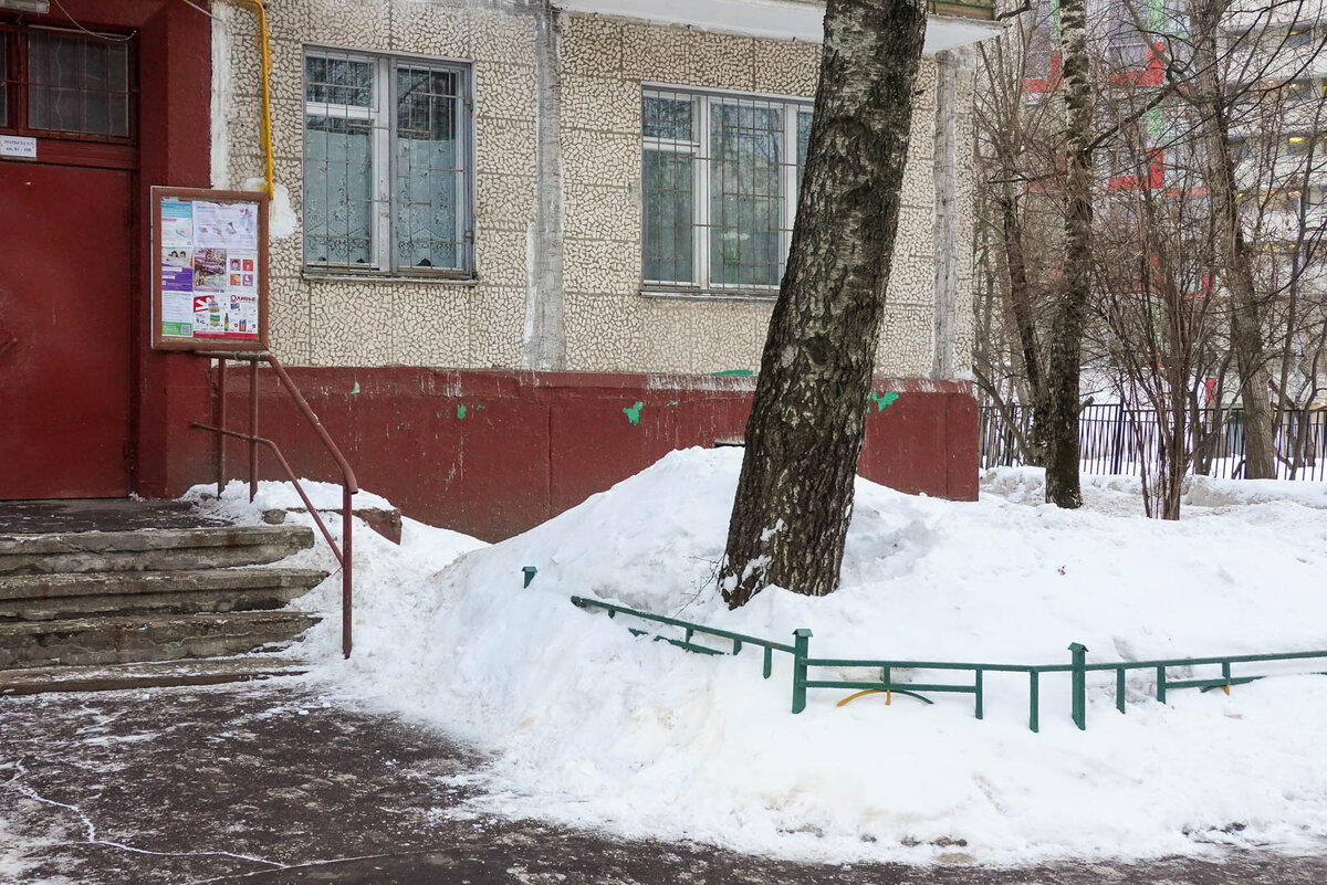 Все современные фотографии в статье - мои.