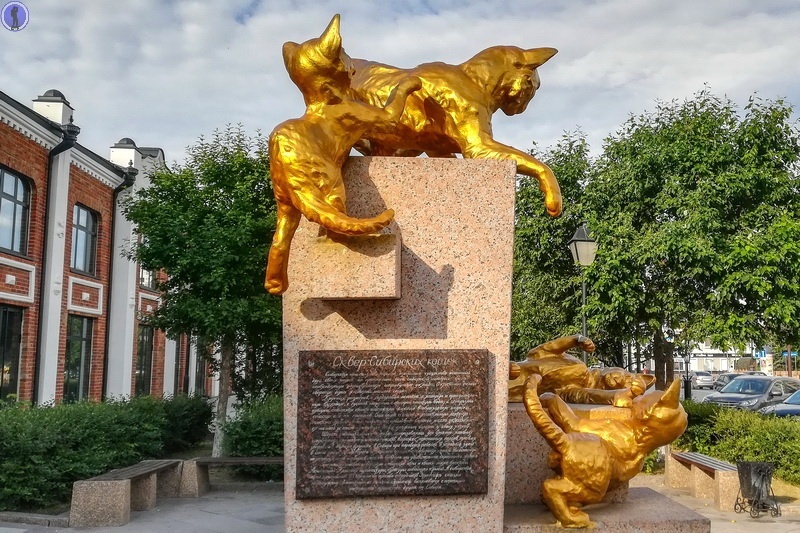 Подвиг котиков в блокадном Ленинграде: Сквер Сибирских кошек в Тюмени