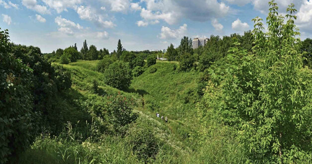 Гарт и д. Овраг красный луч саратов. Коломенское голосов овраг. Овраги краснодарского края. Лес конюшенный овраг.