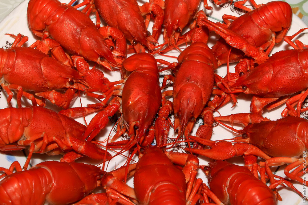 Раки... © NickFW.ru — 09.01.2015г.