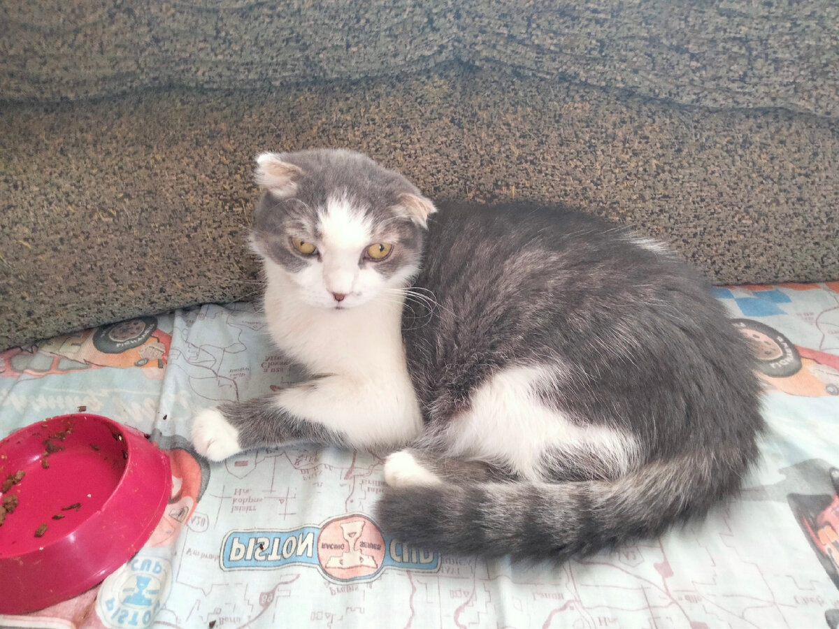 Что же делать. Что дальше картинки. Не знаю я так далеко не заходил. Я дальше тоже не знаю. Лиам нисон мемы.