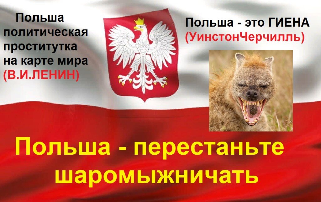 Фото взято из открытых источников