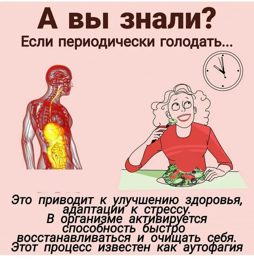 Будет ли голод. Польза голода. Чем полезен голод. Лечебное голодание польза. Голодать полезно.