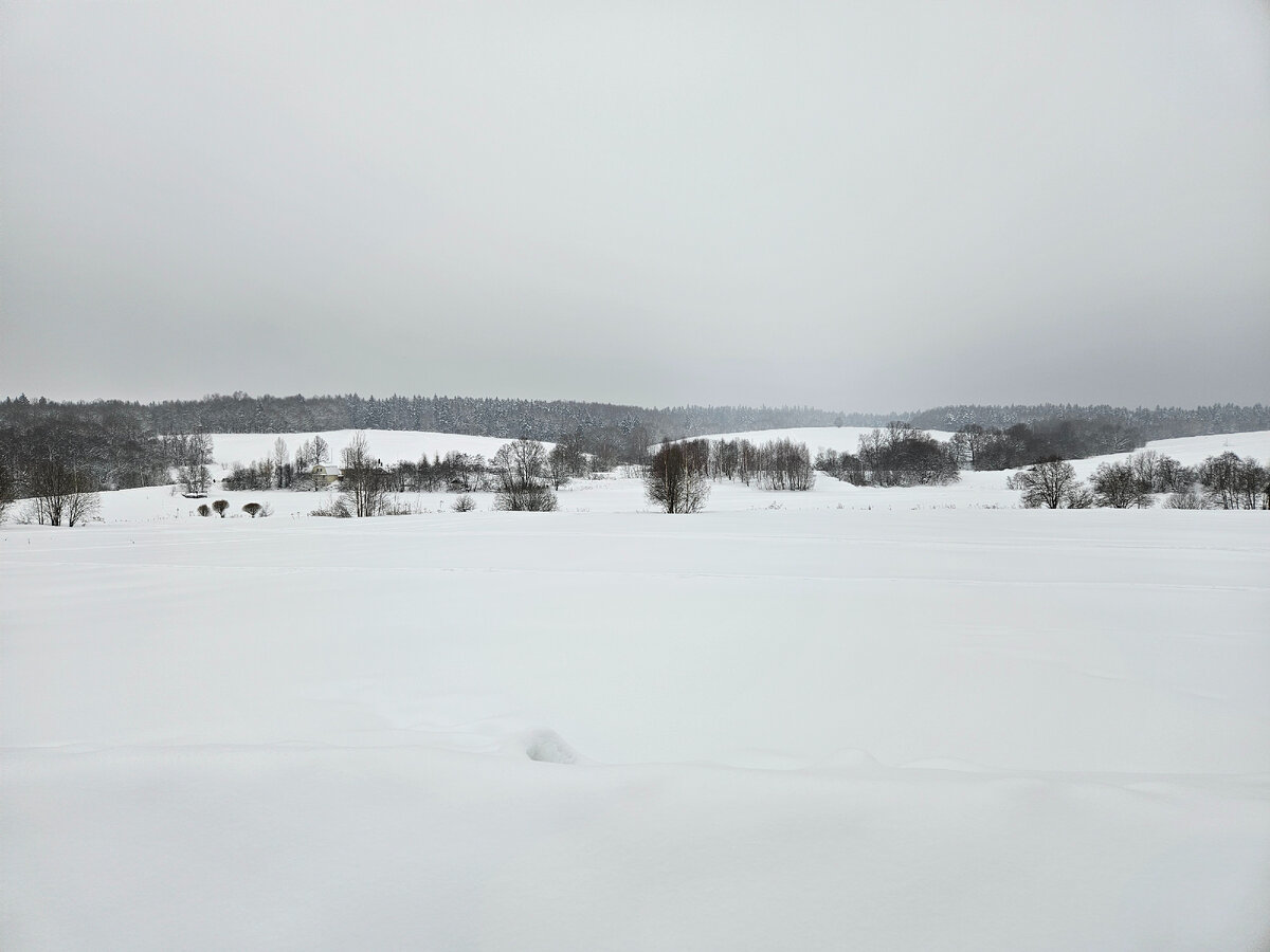 Мурановский луг