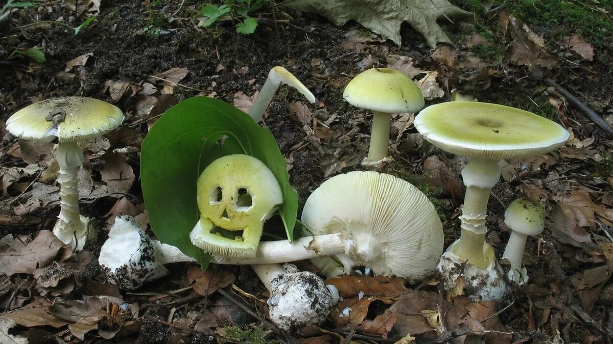 Фото из общего пользования