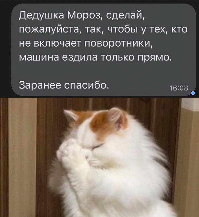 Смешно немножко страшно но очень увлекательно историческая. Смешно немножко страшно но очень увлекательно историческая