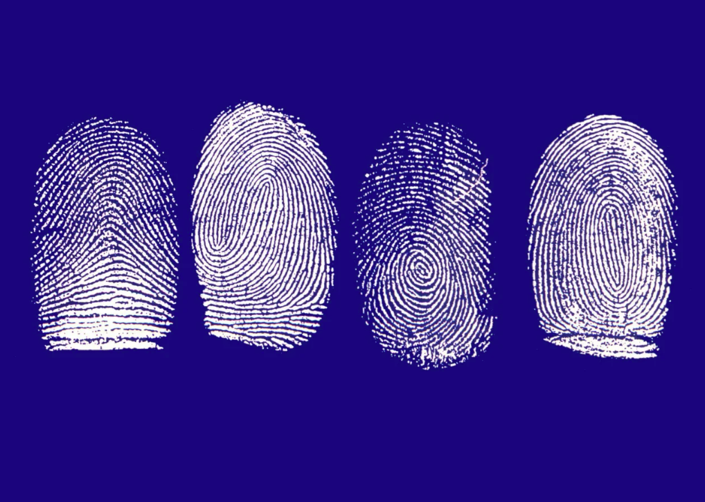 Заговор на рост ресниц. Отпечатки пальцев у близнецов. Близнецы отпечатки пальцев. Одинаковые ли отпечатки пальцев у близнецов однояйцевых. У близнецов разные отпечатки пальцев.