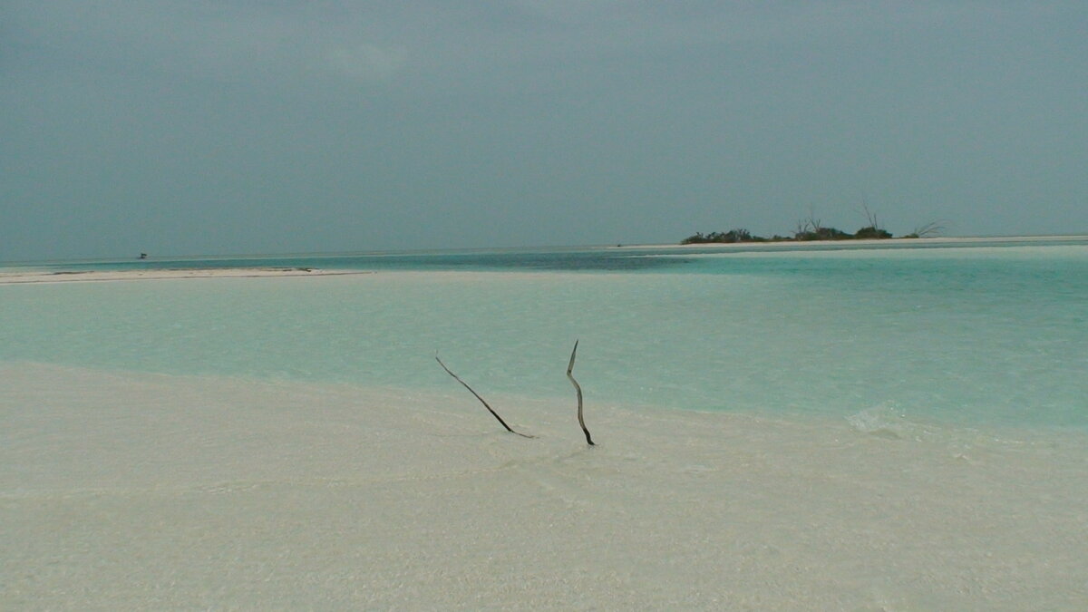 нашли необитаемый остров