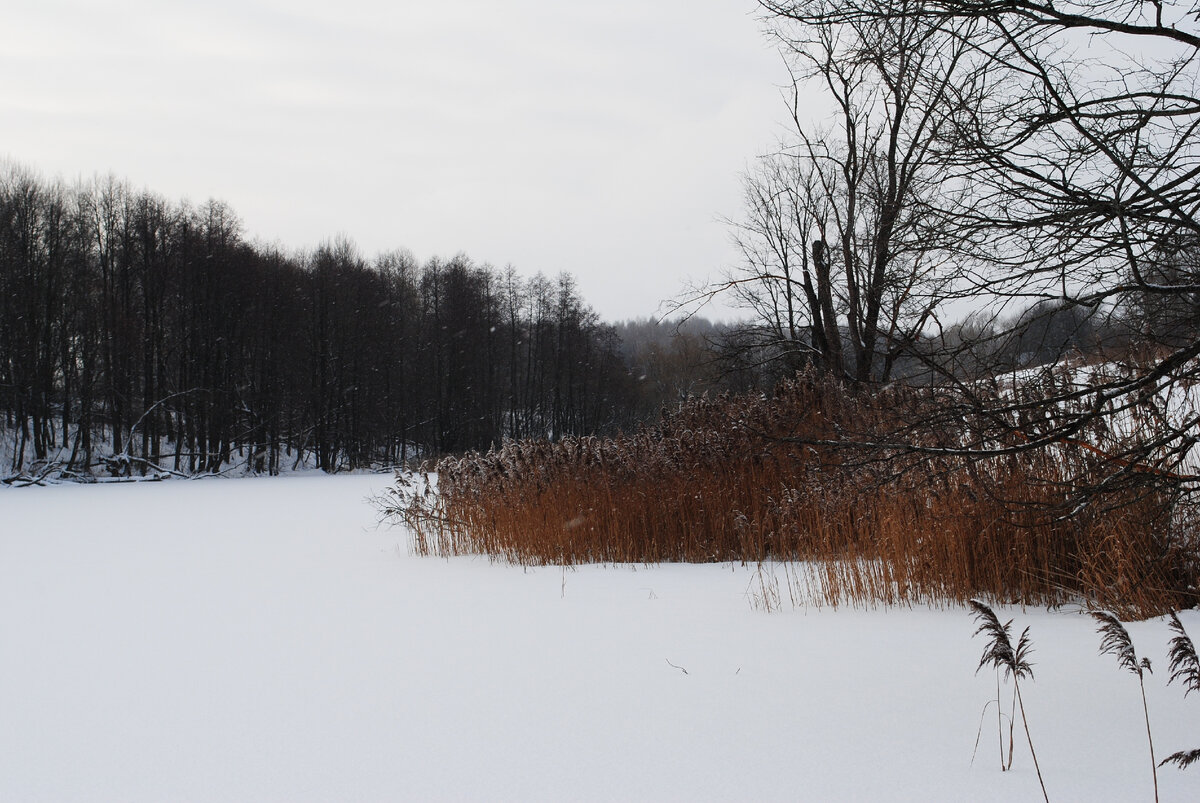 карта деревни пруды. усадьба малое голубино в москве. карта деревни пруды. деревня титеево серебряные пруды с космоса. карта менде нижегородской губернии 1850.