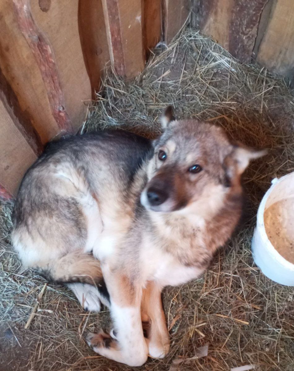 приветствие при встрече. здравствуйте можно начать. правила приветствия. здравствуйте можно начать. приветствие на уроке.
