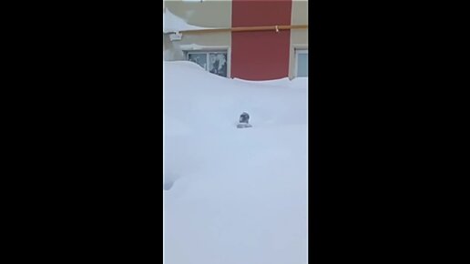 южно сахалинск 2022 город. амурская 102. расчистка кровли от снега и наледи. район углегорск сахалинской области. крыша пятиэтажки.