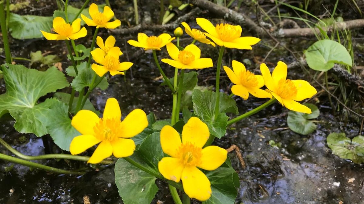 Фото предоставлено автору 