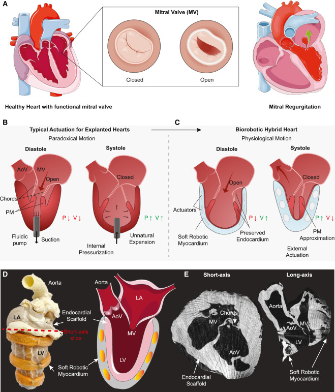 1 куб в шприце это сколько мл. Как понять. Норма алкоголя. Как понять что нужно клиенту. 0 1 мл в инсулиновом шприце на 40 ед.