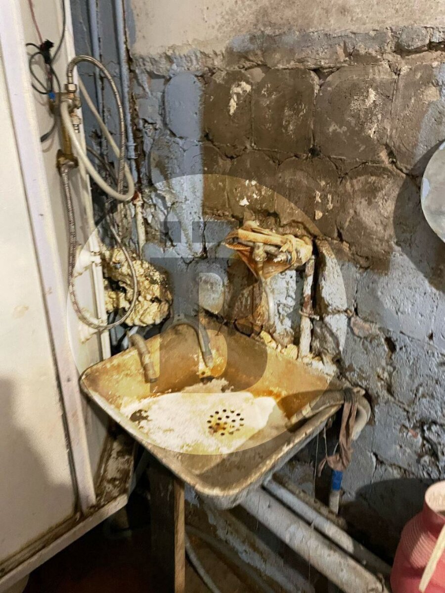 лежу на природе. я буду счастлива цитаты. в 7 раз дайте пожить спокойно. спешим цитаты. мемы 2021 с котом и девкой.