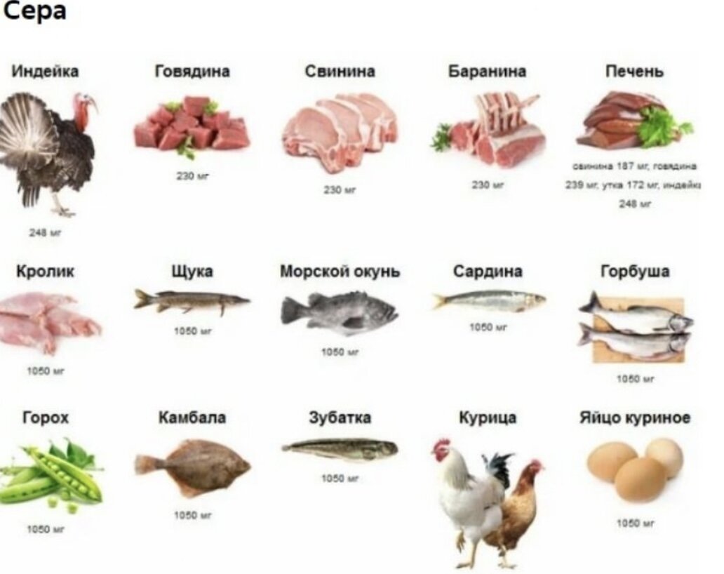 Коллаген в продуктах питания таблица Картинки БОЛЬШОЕ СОДЕРЖАНИЕ КОЛЛАГЕНА