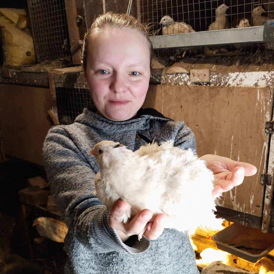 Варя скрипкина я влюбилась в крокодила. Текст про крокодила. Минусовка я влюбилась в крокодила. Минусовка я влюбилась в крокодила. Варя скрипкина крокодил.