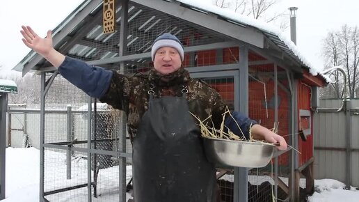 ОТЛИЧНАЯ ЯЙЦЕНОСКОСТЬ КУР!!! ТРИ ГЛАВНЫХ ПРАВИЛА!!!