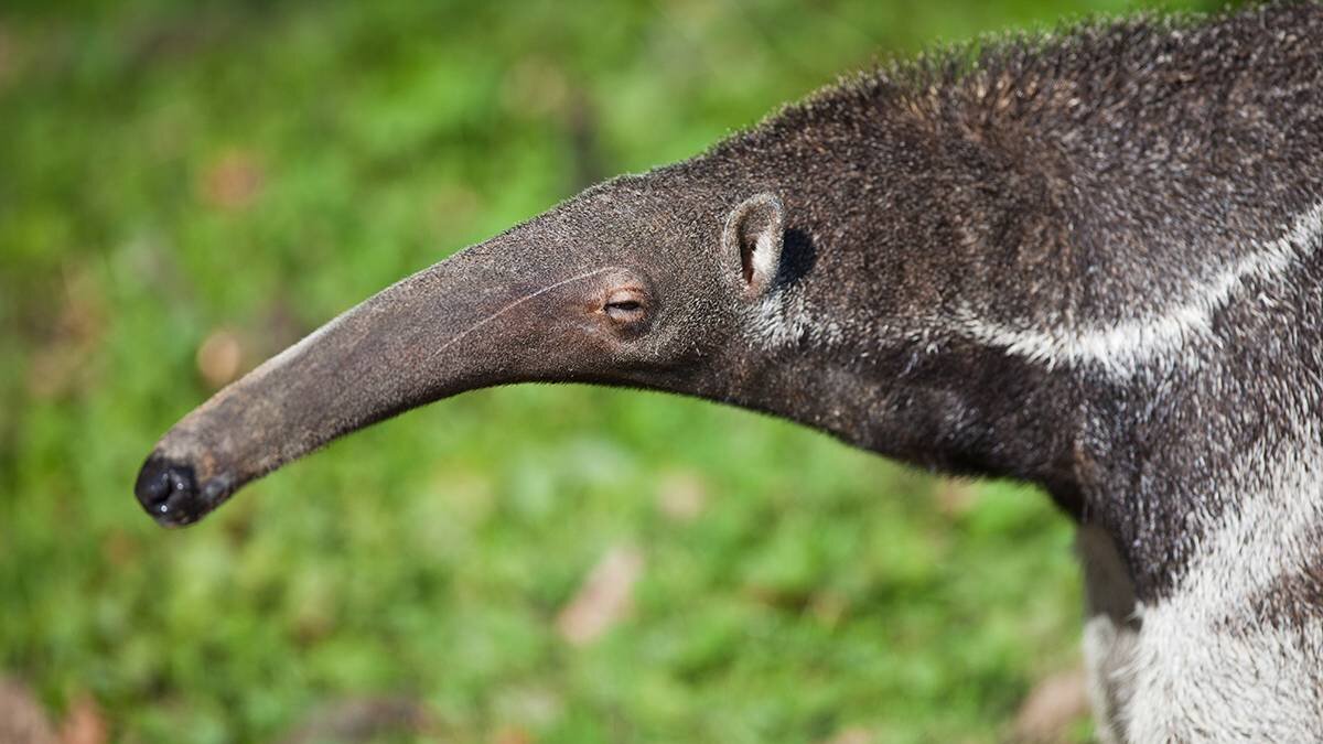    Фото: Shutterstock