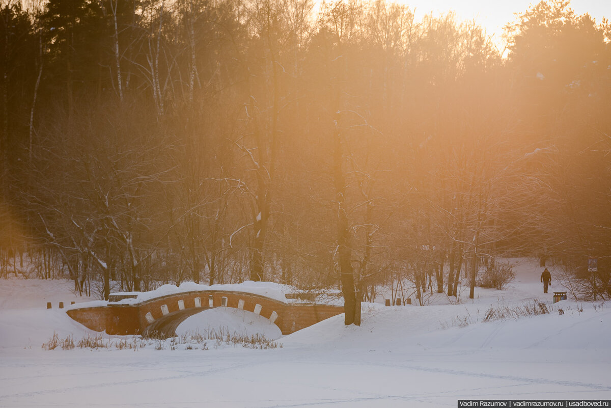 Работа сегодня кузьминки. Работа сегодня кузьминки. Работа сегодня кузьминки. Мфц режим работы москва кузьминки. Дом усадьба кузьминки.