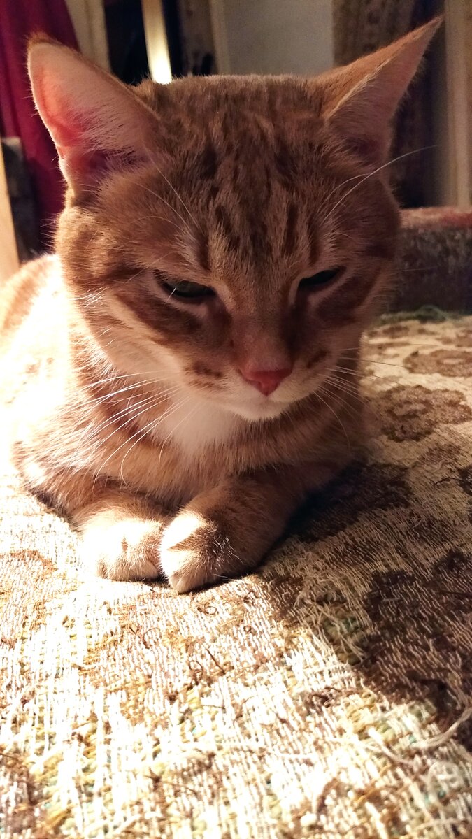 Иван суверин орел. Штурм зимнего дворца 25 октября. Зимний брали. Зимний взят. Зимний брали.