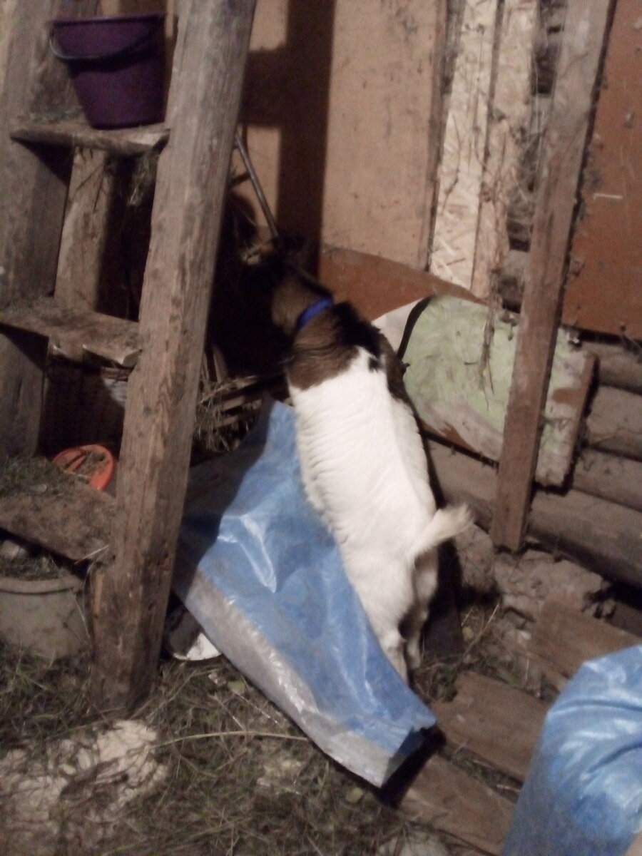 Во сколько начинают сажать. Во сколько месяцев ребёнок должен сидеть. Этапы развития грудничка. Скользящие шаги массаж детский. Высаживание младенца.