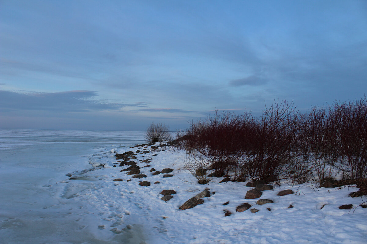 5" pal #08 spicy mustard. 5. Блесна forest pal 3. 3. Пал 3 под.