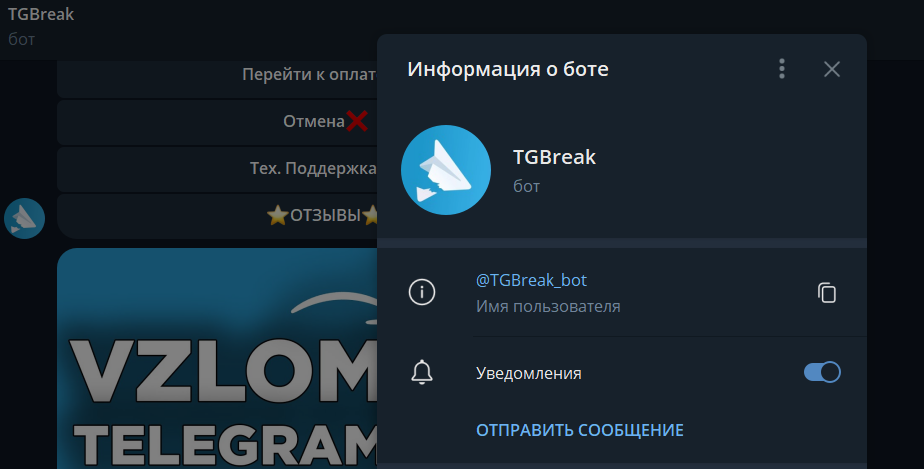 Телеграм канал. Что делать в ролке в телеграмме. Квесты в телеграмме текстовые. Ролевая игра в чате. Что делать в ролке в телеграмме.