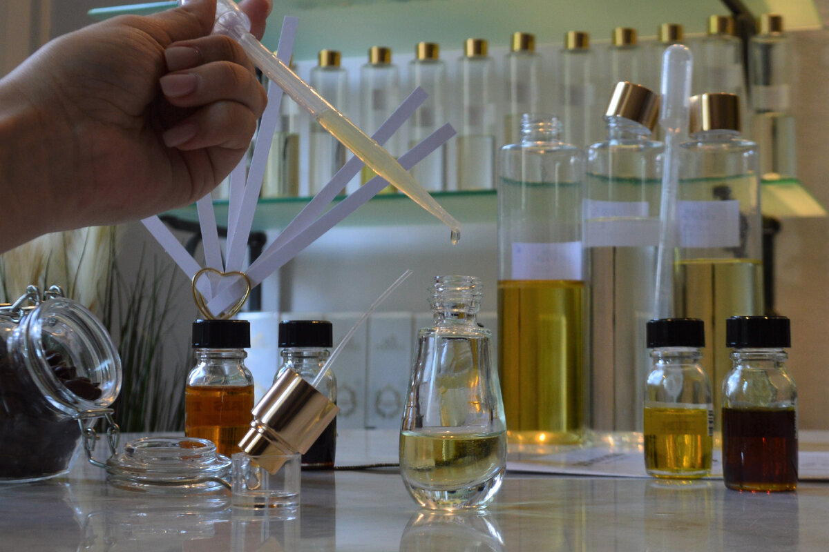 Фото из открытых ресурсов интернета