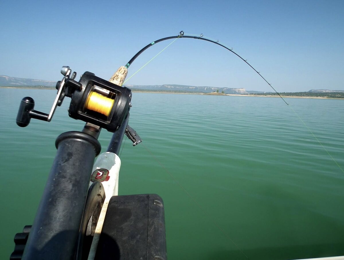 Поклевка при ловле троллингом