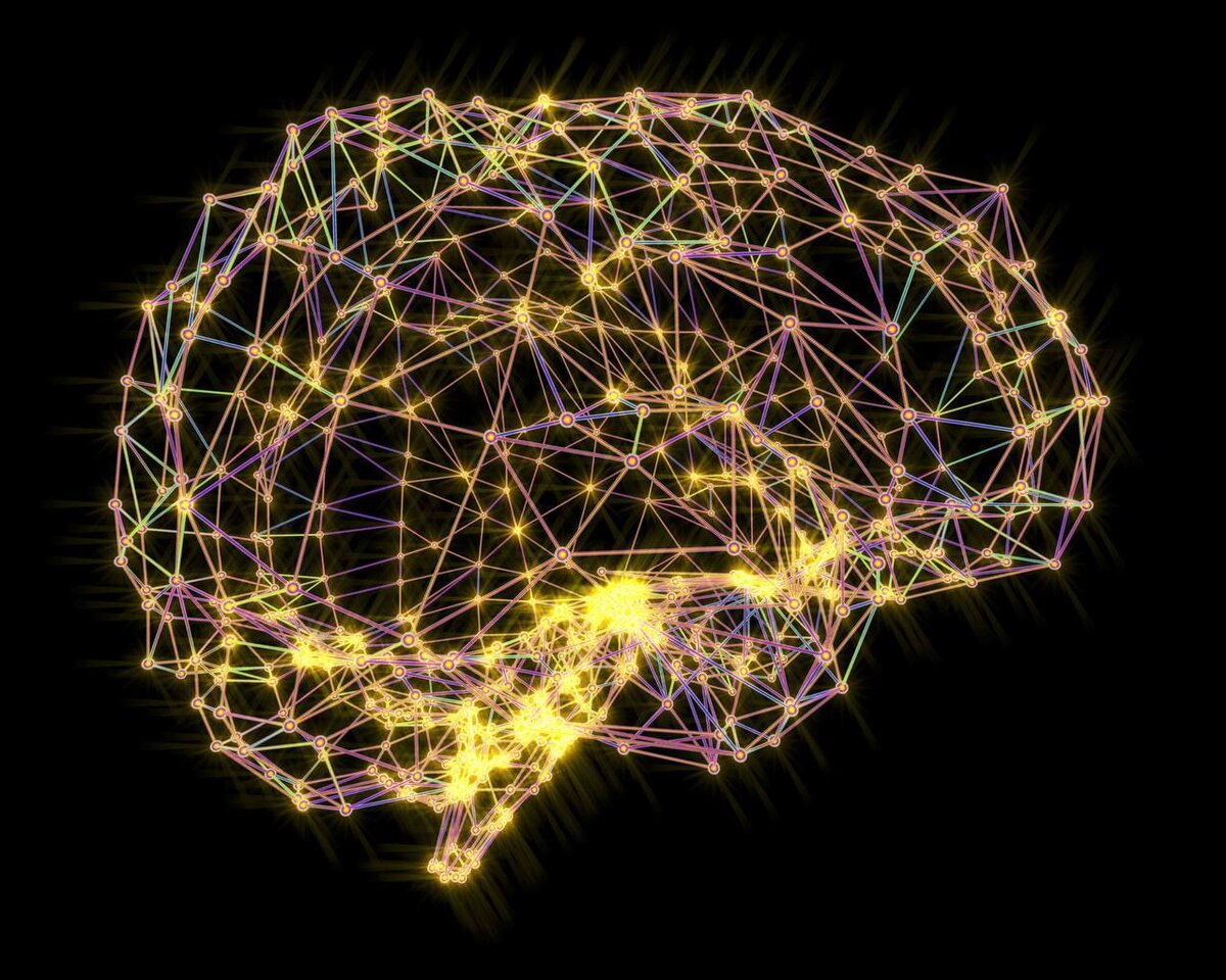 развитие нейронных связей