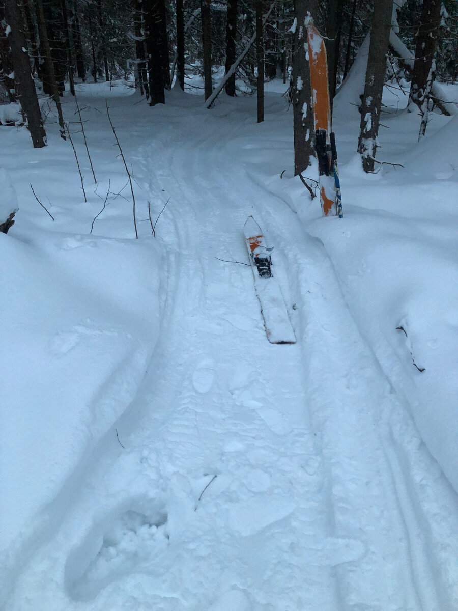лыжный след. горные лыжи. лыжи на фоне гор. горные лыжи в снегу. горнолыжный спорт.