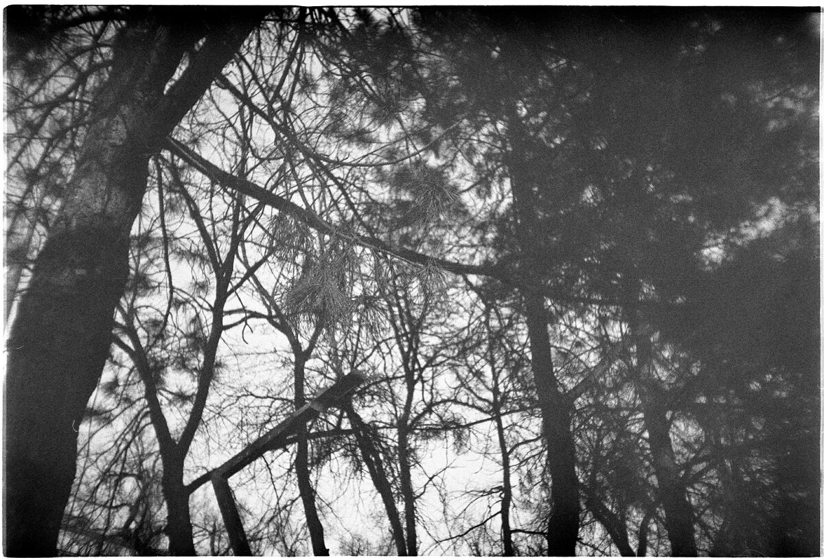 Кажется зима. Девушка в меховой шапке. Фотосессия зимой. Дастин бейтс радуется первому снегу. Как выглядят девушки зимой как выгляжу я.