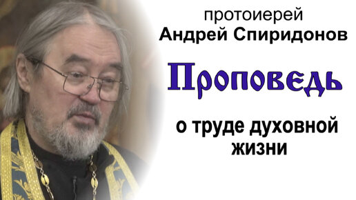 Проповедь о труде духовной жизни (2024.01.29). Протоиерей Андрей Спиридонов