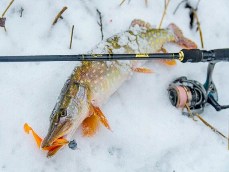 Щука на джиг