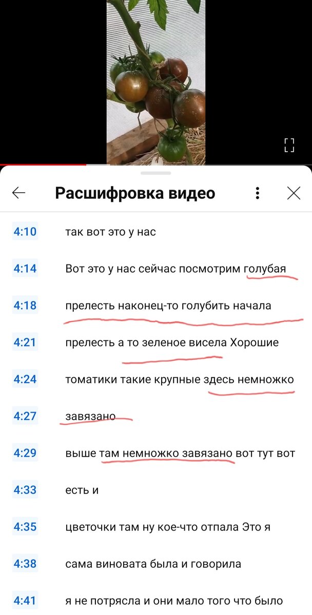 Платные медицинские услуги. Сколько раз можно пройти реабилитацию по омс. Сколько раз можно пройти реабилитацию по омс. Памятка медицинская. Перечень бесплатных процедур в санаториях.