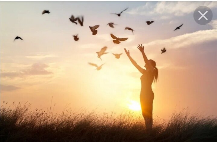 железный феликс дзержинский. демичев феликс янович. ян феликсович дзержинский. феликс дзержинский. кирилл феликсович дзержинский правнук.