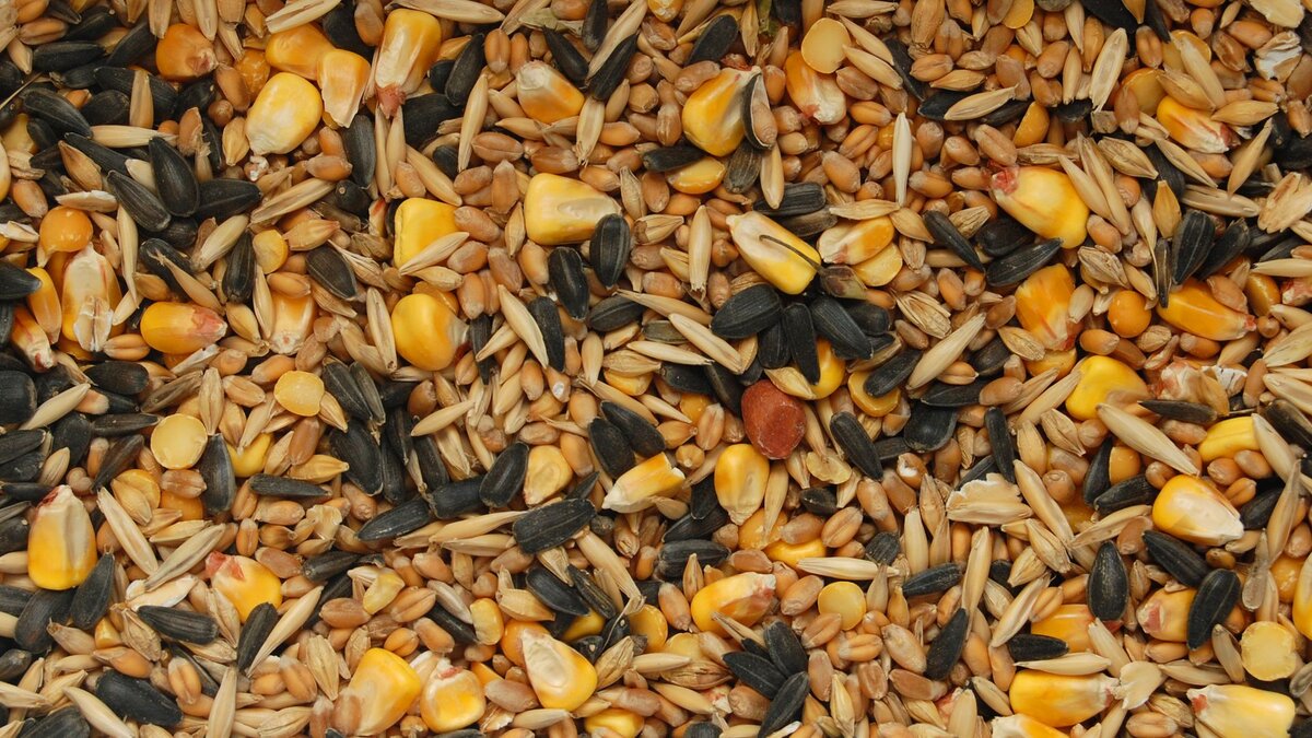 Ценные растительные продукты для питания животных и птиц на ферме