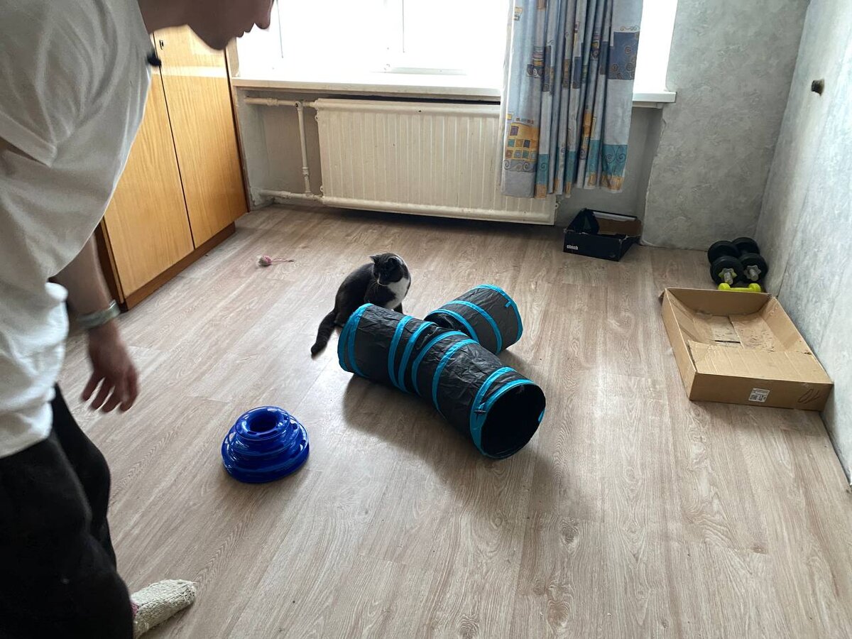 Фото автора