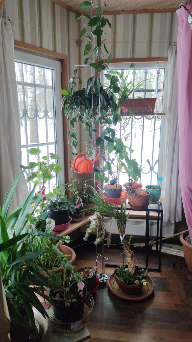 оставленные дачи дачи оставлены