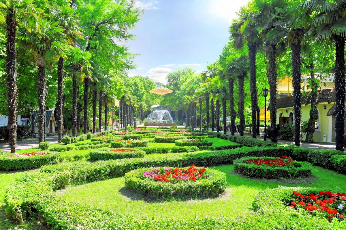 Сочи лоо санаторий аквалоо. Сочи парк отель шведский стол. Пансионат аквалоо сочи. Сочи, отель radisson collection paradise resort. Сити парк отель сочи 4.