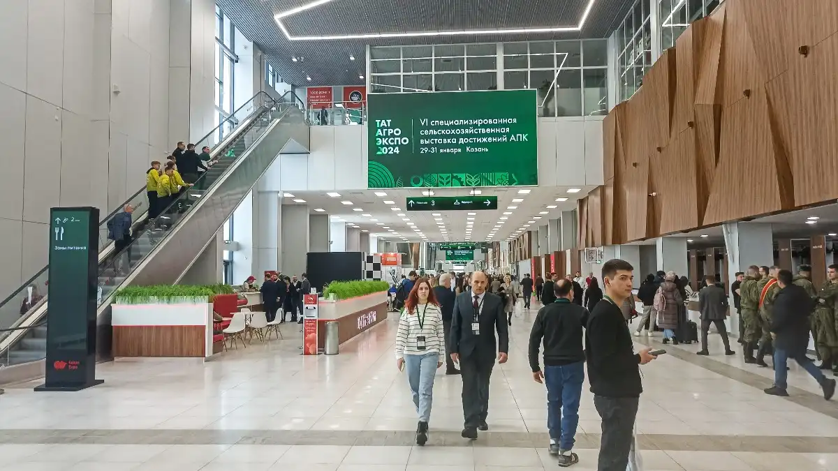 дом художника казань. выставка казань декабрь. выставка казань декабрь. работы современных художников выставка современного искусства. выставка казань декабрь.