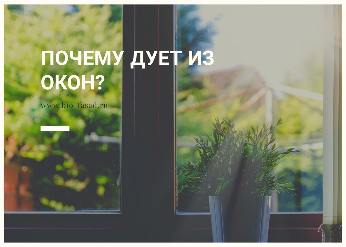 Афоризмы про заботу и внимание. Афоризмы об одиночестве среди людей. Мудрые высказывания об учителях. Проблемы дело самих. Цитаты про сильных женщин.