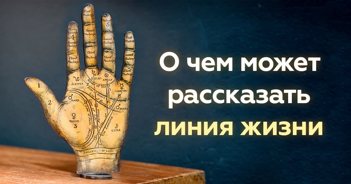 Хиромантия относится к одной из древнейших систем гадания. Те, кто в ней разбирается, способны поведать о многом: об особенностях человека, его талантах и характере.